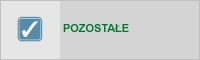 Pozostałe usługi nie wchodzące w obszar AKCYZY i CŁA