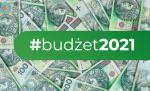 Na zielonym pasku napis #budżet2021, rozrzucone banknoty 100 złotowe.
