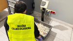 Funkcjonariusz Służby Celno-Skarbowej waży pojemnik z kawałkami korala na elektronicznej wadze.