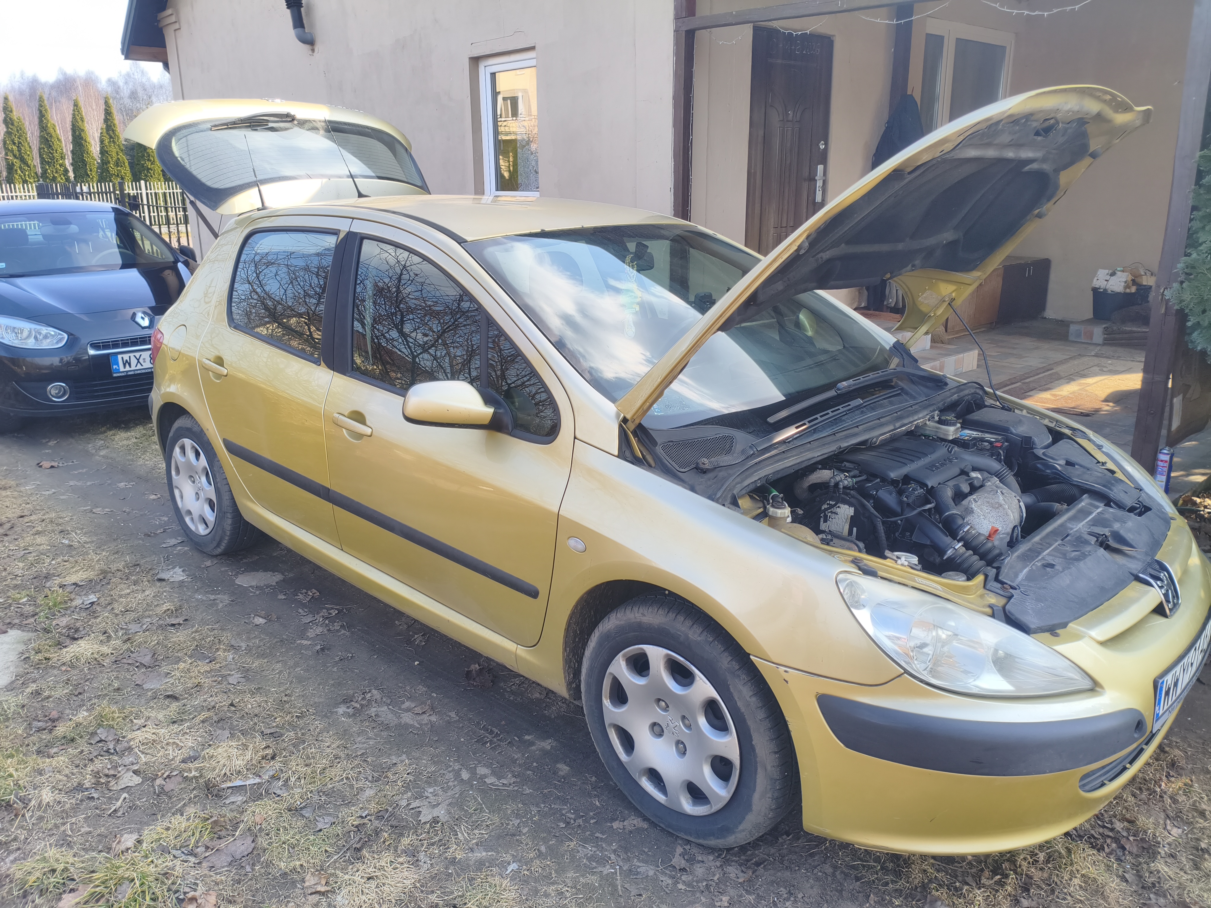 Peugeot 307