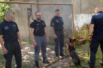 Na zdjęciu stoi trzech mężczyzn, których odgradza siatka od psa służbowego Służby Więziennej, który jest wyszkolony do przeszukiwania ludzi